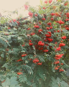 ����� ������: ��� �������� ����� �������� ��� ��� � ����������� �� ���������� ������������