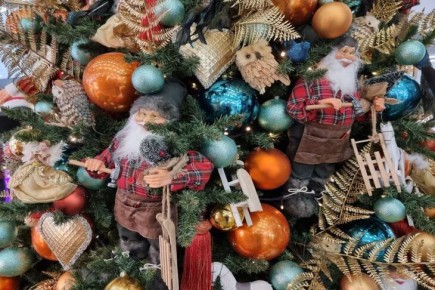 ��� �������� ����� �� ����� ���