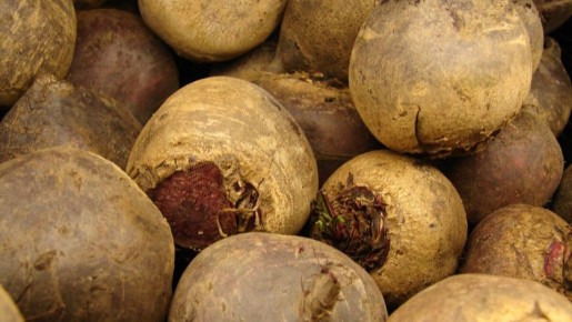 ������� ��������� ����������� ������� ����� � ����� ����