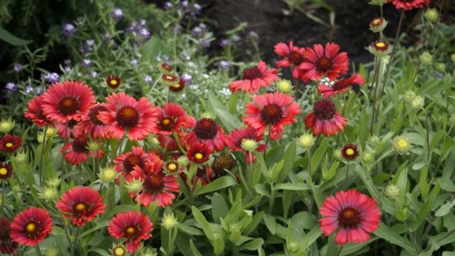 �����, ������� �������� � ����� ������� ��������: ��� ������� �������� ��� �� ������ �����