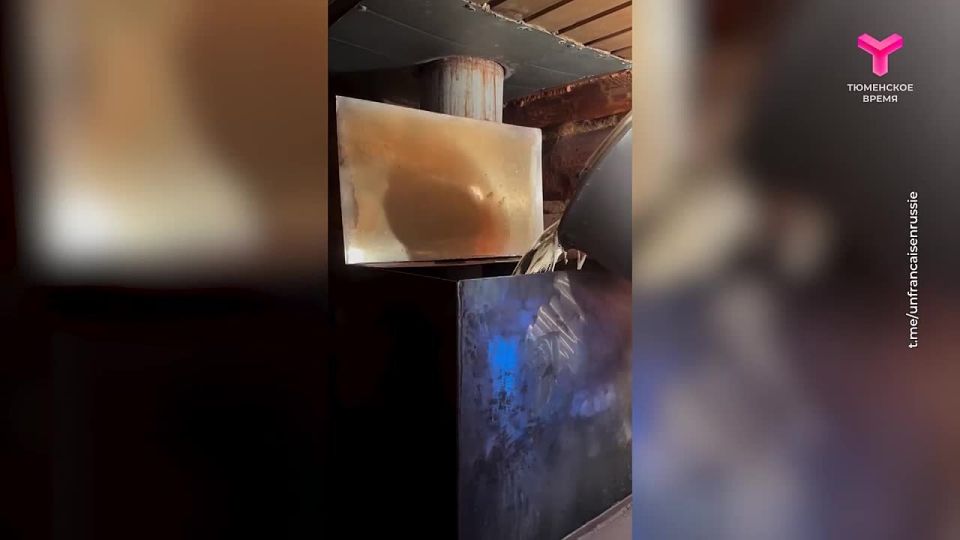 Из Франции в Сибирь по своей воле