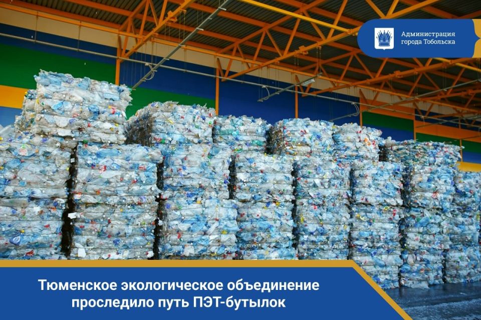Тюменское экологическое объединение проследило путь ПЭТ-бутылок, которые отбирают на мусоросортировочных заводах региона