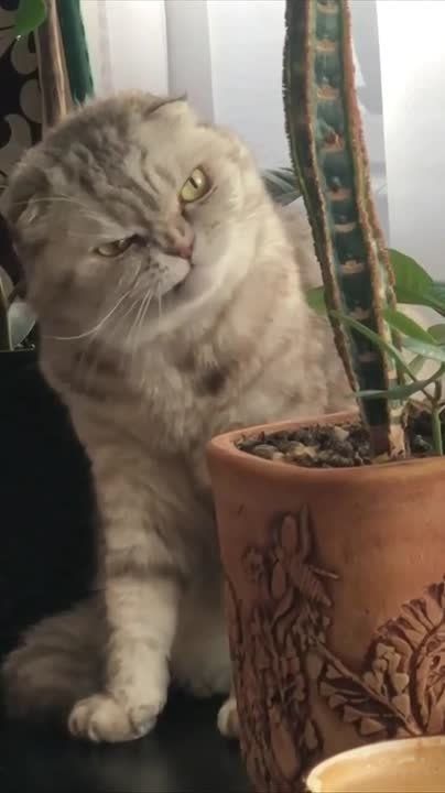 Мое лицо каждое утро:. МегаТюмень