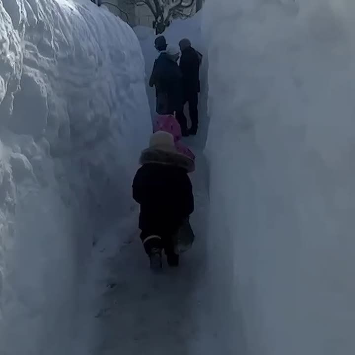 Камчатка: люди вынуждены добираться по делам через трехметровые сугробы