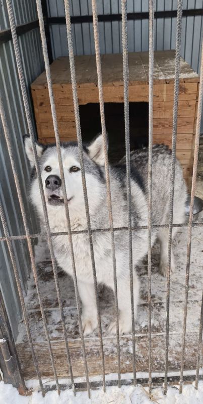 2 ������� � ���� ������� �����!