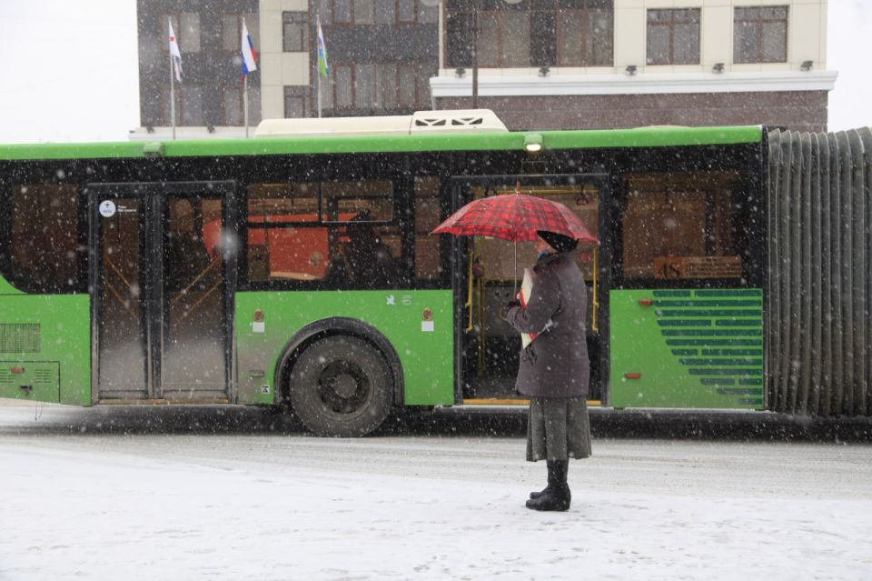 ��� ������ ������������ �����