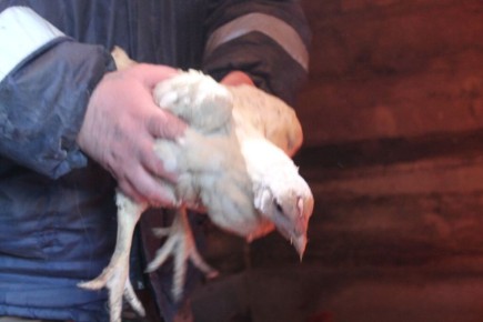 ������������ � ���: ��������� � ����������� ���� ������