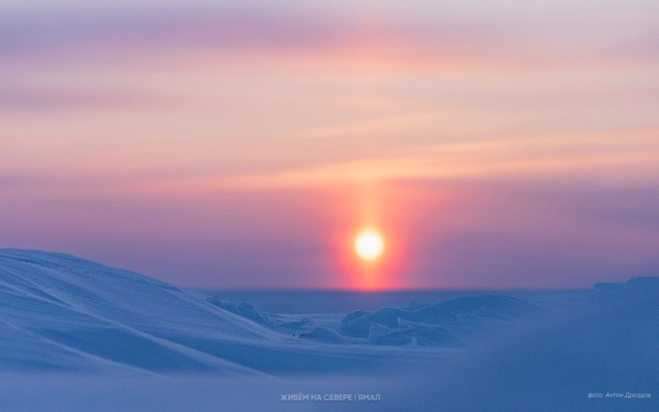 ������ ������������ �� �������� ����!