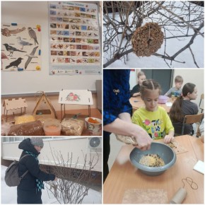 3 февраля отмечается Международный день кормления птиц!