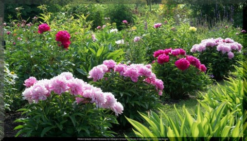 ����� � ����� ����: 20 ������, ������� ������� ������ ���� � ������� ������������� ��������