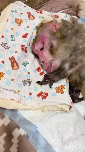 � ������ ���������� � 26-������ �������� ����� � ���������-������������ �������