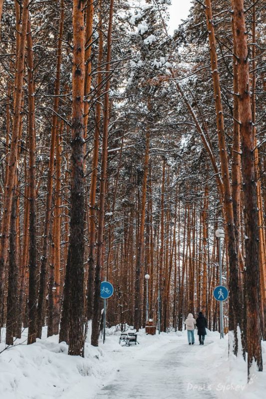 ���� ���-��� ����������. ����� �����? ����: ����� ����� ����������