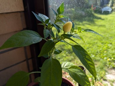 ������������ ����� "������": ��� �������� ������ � ������� ���� ����