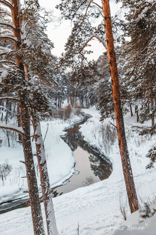 ���� ���-��� ����������. ����� �����? ����: ����� ����� ����������