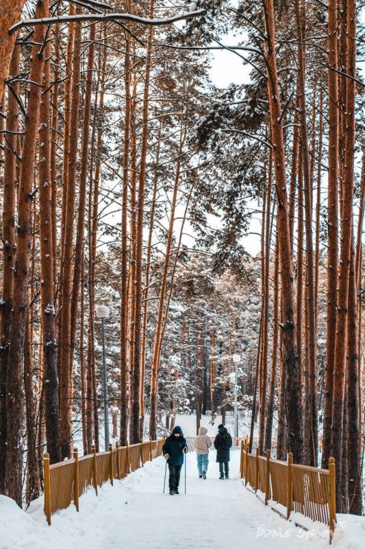 ���� ���-��� ����������. ����� �����? ����: ����� ����� ����������