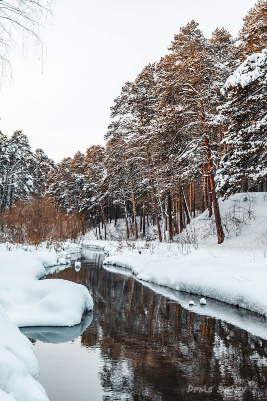 ���� ���-��� ����������. ����� �����? ����: ����� ����� ����������