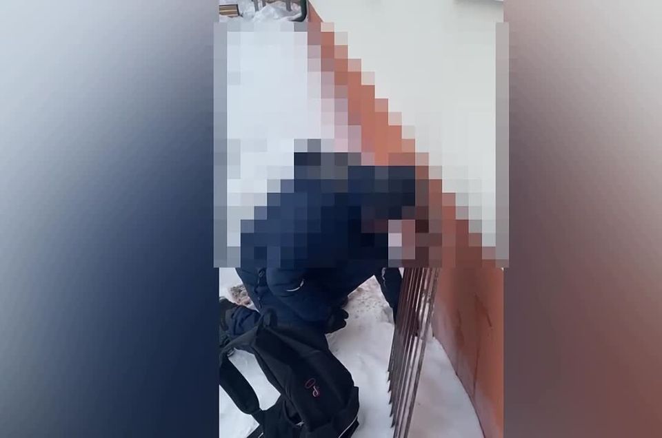 Неравнодушные тюменцы пытаются спасти кошек, закрытых в подвале дома