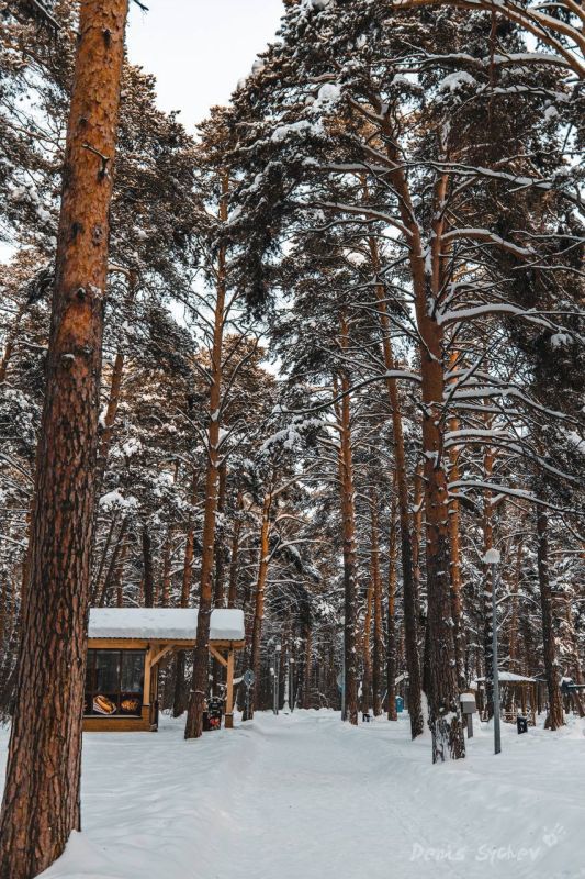 ���� ���-��� ����������. ����� �����? ����: ����� ����� ����������