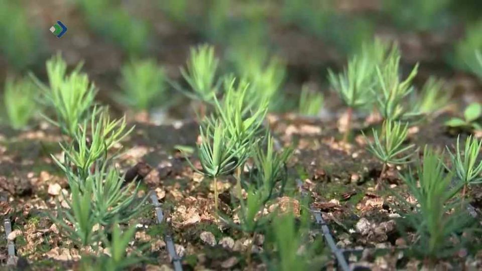 1 ��������� ������� ������������� ����� ������������������