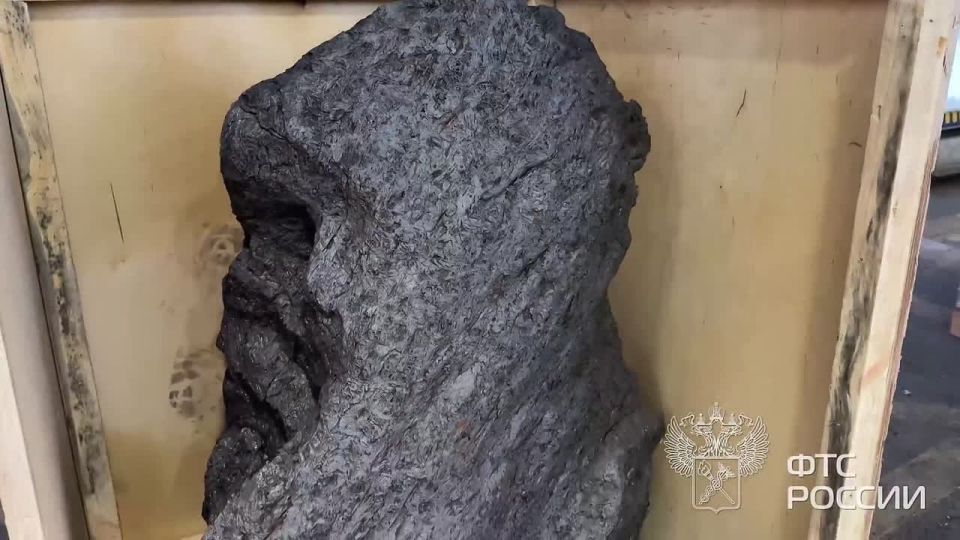 Метеорит весом более 2,5 тонн пытались вывезти из России в Великобританию
