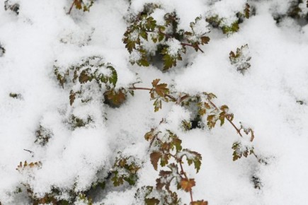 ����� ����� �������� ������ ����������������� � ������ ��������� ������� � ��������� �������