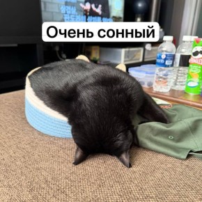 ������ ����� ������� ���� ���������� �� ��������� ������� ���� �� ���� ������