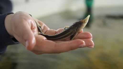 ����� ������ ���� � ��������� � ���������� �������� � 2025 ���� �������� 20 ����� ����