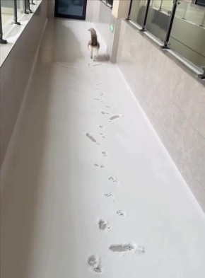 ��������� ����. ����������