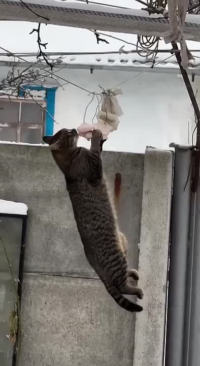 Доброе утро. Пятница! Последний рабочий денек и врываемся в выходные Позавтракать перед выходом не забываем) МегаТюмень