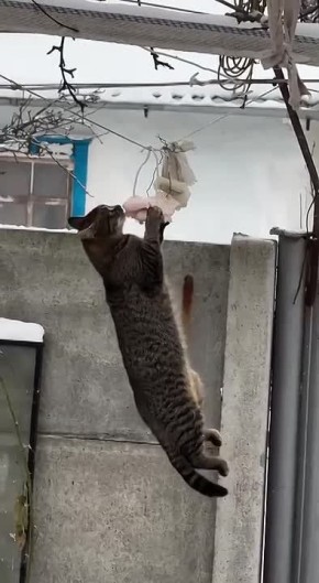 ������ ����. �������! ��������� ������� ����� � ��������� � �������� ������������ ����� ������� �� ��������) ����������