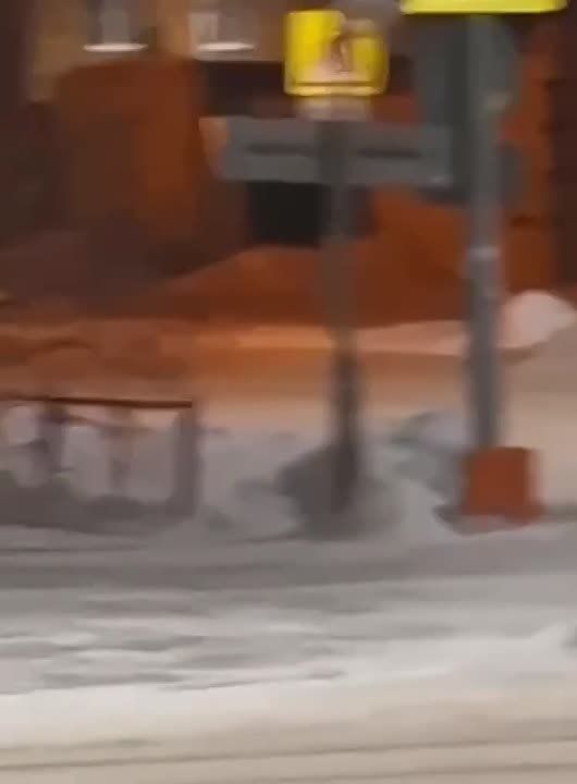 Лесной гость в Ишиме!. Очевидцы сообщают, что по улицам города бегает дикая лиса