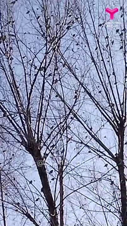 Яркие гости в объективе наших подписчиков