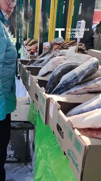 Тюменцы закупаются фермерскими продуктами на ярмарках