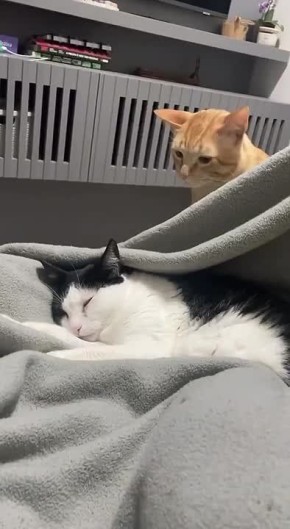 �������. �������� ��������� ����������