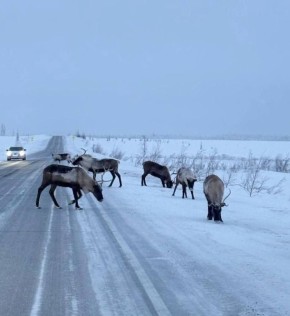 ����� ������ �������� �� ������ � ������� ��������� �������