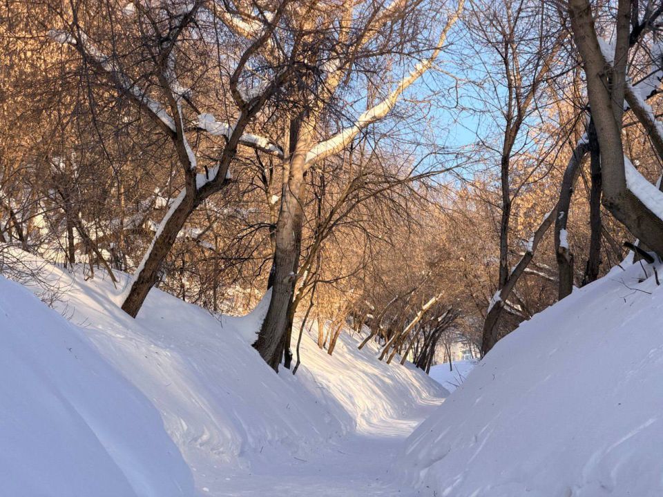 Плановый объезд территории с проверкой текущих работ