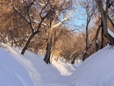 �������� ������ ���������� � ��������� ������� �����