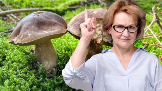 ��� ������������������� �����: �������� ����� ���������