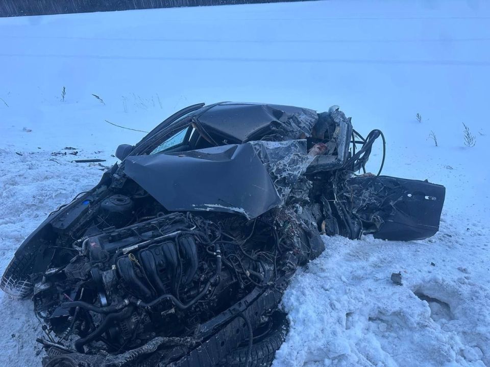 �� 176-� ��������� ������������ ���������� ��������-���������� ����������� ���������� "��������" � "���� �����"