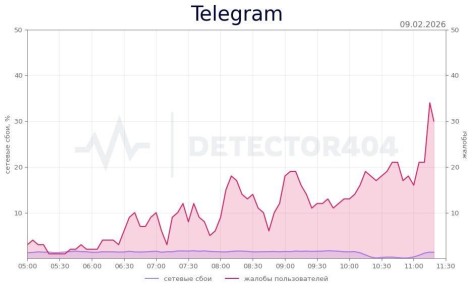 �������� ���� � ������ Telegram � ������