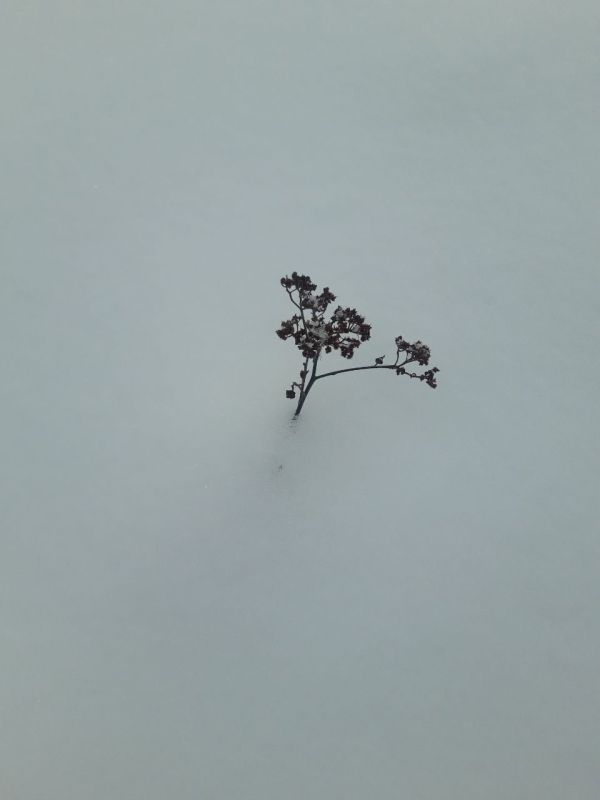 ����� � ���� �� ���� ��������� (�)