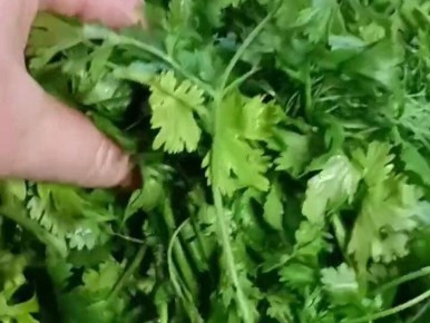 ������� ������� �������� ������: ��� ��������� �������� � ��������