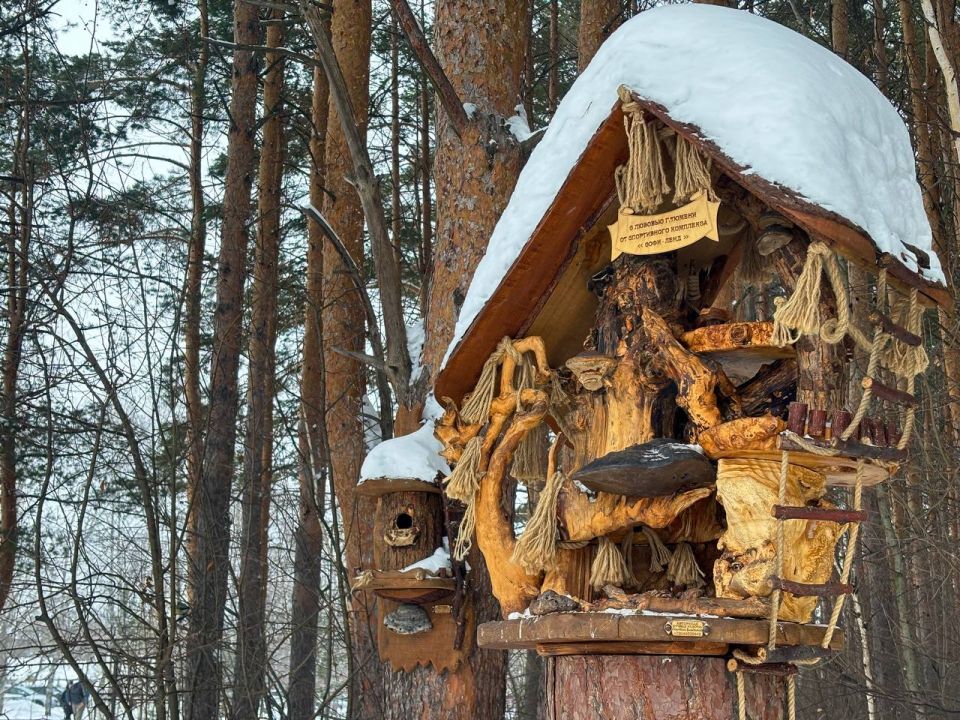 Скворечники в Затюменском как отдельный вид искусства и напоминание о лете