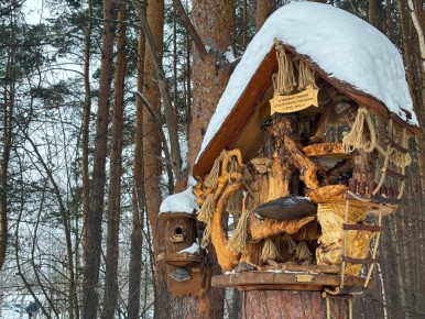 ����������� � ����������� ��� ��������� ��� ��������� � ����������� � ����