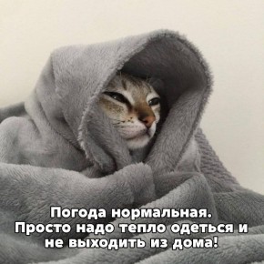 ������� ���������� ��� ������ �� ��������� ������� �����������