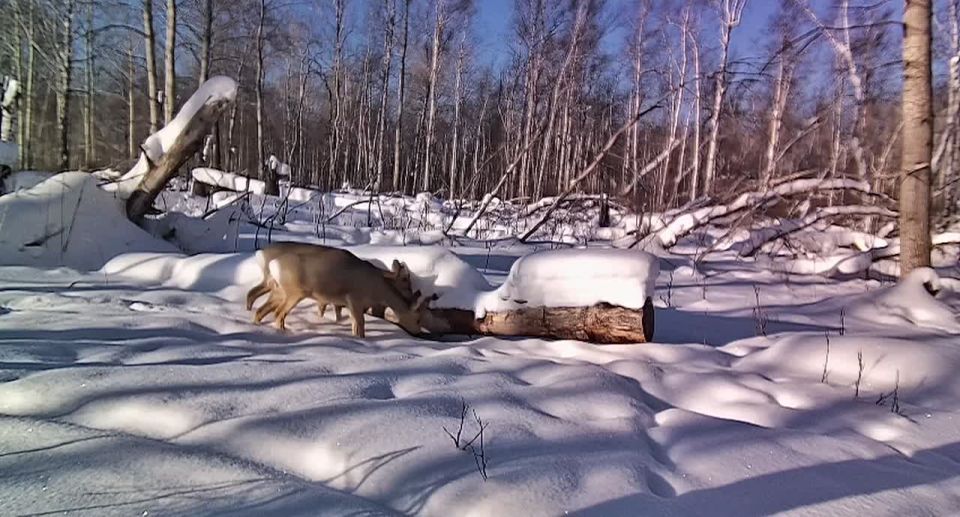 Ну что, вот и второй рабочий денек наступил — привет, вторник!
