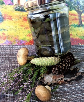 ��� ������ �������� ��������: ������� �������� �����������