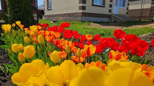 ��� ������� ����� ������� �� ������� �� ��������� ���