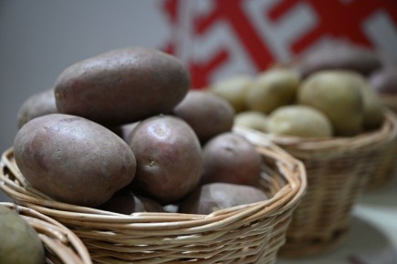 ������ ���������: ��� ������� �������� � �����