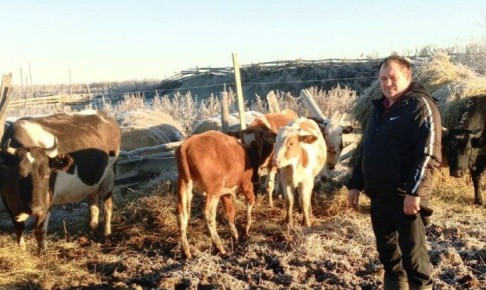 ������ ������������ ������ ������ ����� ��������� ����������